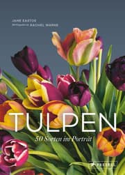 Cover von Tulpen