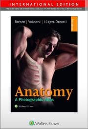 Cover von Anatomy