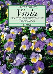 Cover von Viola