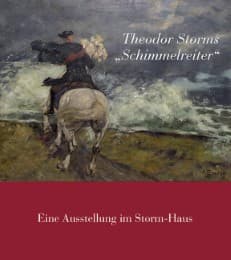 Cover von Theodor Storms 'Schimmelreiter'
