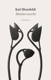 Cover von Karl Blossfeldt - Meisterwerke