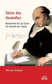 Cover von Stein des Anstoßes
