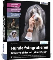 Cover von Hunde fotografieren - Kreative Bilder mit 'Wau-Effekt'