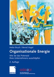 Cover von Organisationale Energie