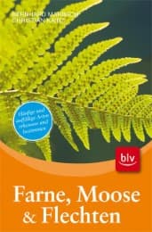 Cover von Farne, Moose & Flechten
