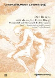 Cover von Der Besen, mit dem die Hexe fliegt
