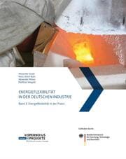Cover von Energieflexibilität in der deutschen Industrie