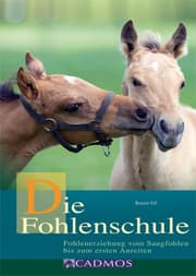 Cover von Die Fohlenschule