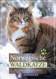 Cover von Norwegische Waldkatze