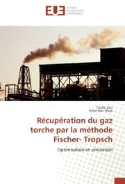 Cover von Récupération du gaz torche par la méthode Fischer- Tropsch