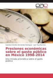 Cover von Presiones económicas sobre el gasto público en México 1998-2014