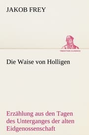 Cover von Die Waise von Holligen