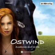 Cover von Ostwind