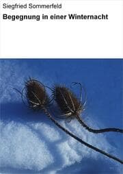 Cover von Begegnung in einer Winternacht