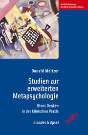 Cover von Studien zur erweiterten Metapsychologie