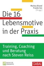 Cover von Die 16 Lebensmotive in der Praxis
