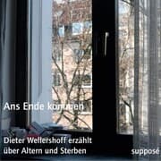 Cover von Ans Ende kommen