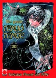 Cover von Tenjo Tenge 20
