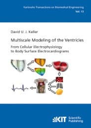 Cover von Multiscale Modeling of the Ventricles: From Cellular Electrophysiology to Body Surface Electrocardiograms