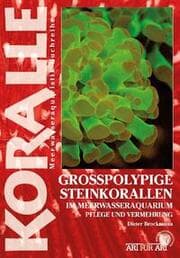 Cover von Grosspolypige Steinkorallen im Meerwasseraquarium