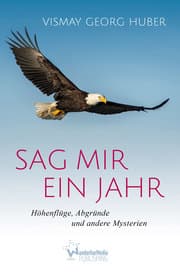 Cover von Sag mir ein Jahr