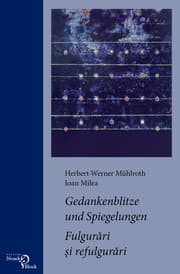 Cover von Gedankenblitze und Spiegelungen / Fulgurari si refulgurari