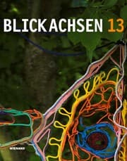 Cover von Blickachsen 13