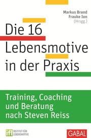 Cover von Die 16 Lebensmotive in der Praxis