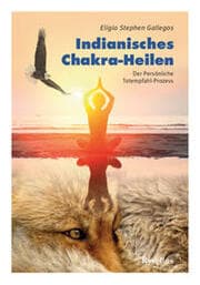 Cover von Indianisches Chakra-Heilen