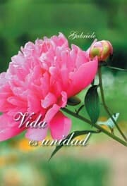 Cover von Vida es unidad