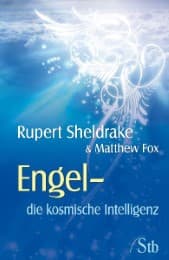 Cover von Engel - Die kosmische Intelligenz