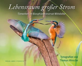 Cover von Lebensraum großer Strom
