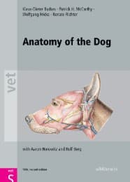 Cover von Anatomy of the Dog