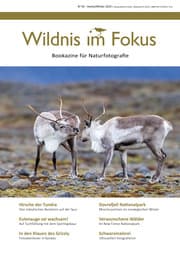Cover von Wildnis im Fokus III