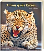 Cover von Afrikas große Katzen