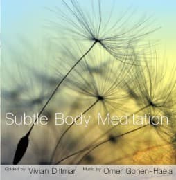 Cover von Subtle Body Meditation
