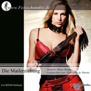 Cover von Die Mailerziehung