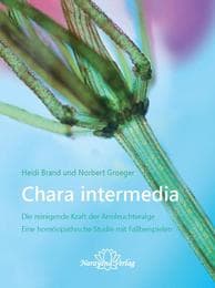 Cover von Chara intermedia