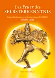 Cover von Das Feuer der Selbsterkenntnis
