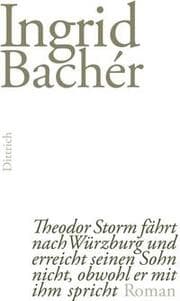 Cover von Theodor Storm fährt nach Würzburg und erreicht seinen Sohn nicht, obwohl er mit ihm spricht