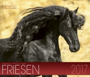 Cover von Friesen 2017