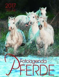 Cover von Pferde 2017