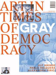 Cover von Art in Times of Gray Democracy