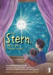 Cover von Ein Stern, der in dein Fenster schaut