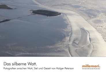 Cover von Das silberne Watt.