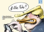 Cover von Alles Fake!