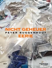 Cover von Peter Buggenhout - nicht geheuer/eerie