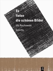 Cover von Es fielen die schönen Bilder