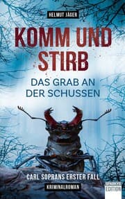 Cover von Komm und stirb - Das Grab an der Schussen