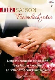 Cover von Julia Saison Band 13
